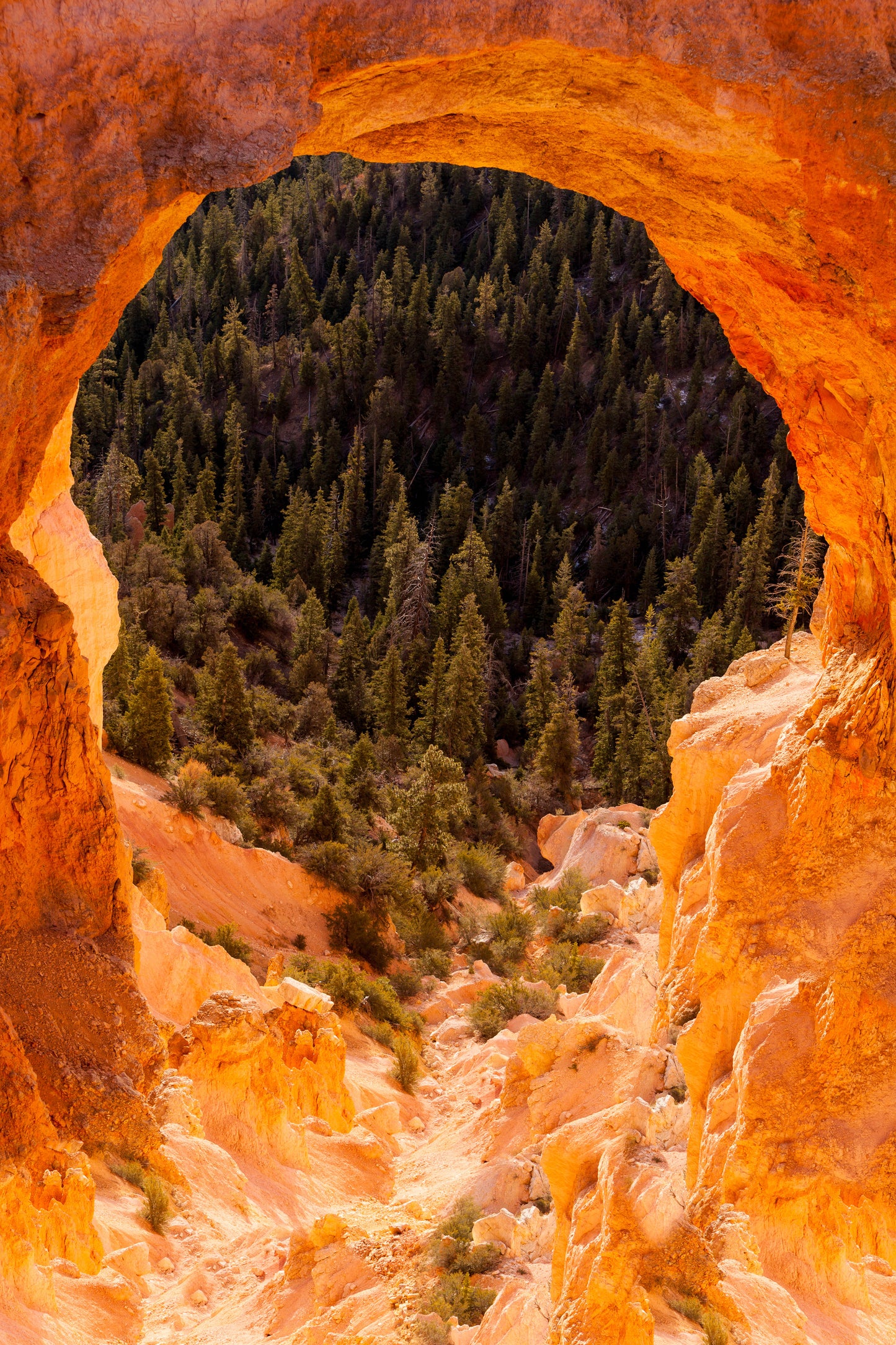 Bryce Canyon Window