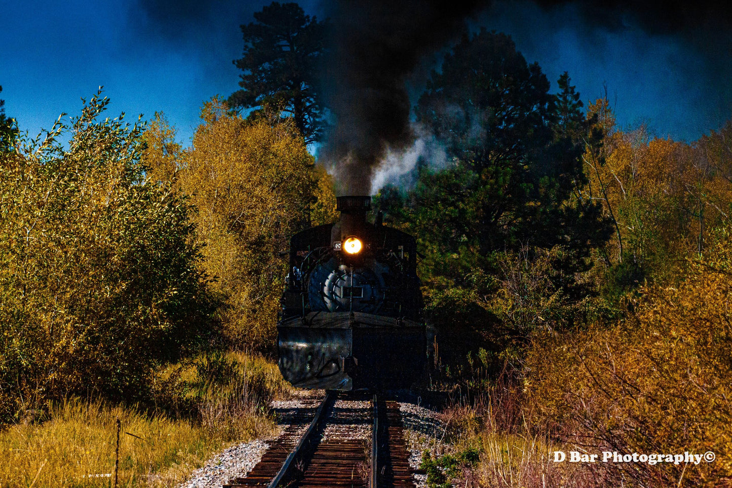Autumn Train