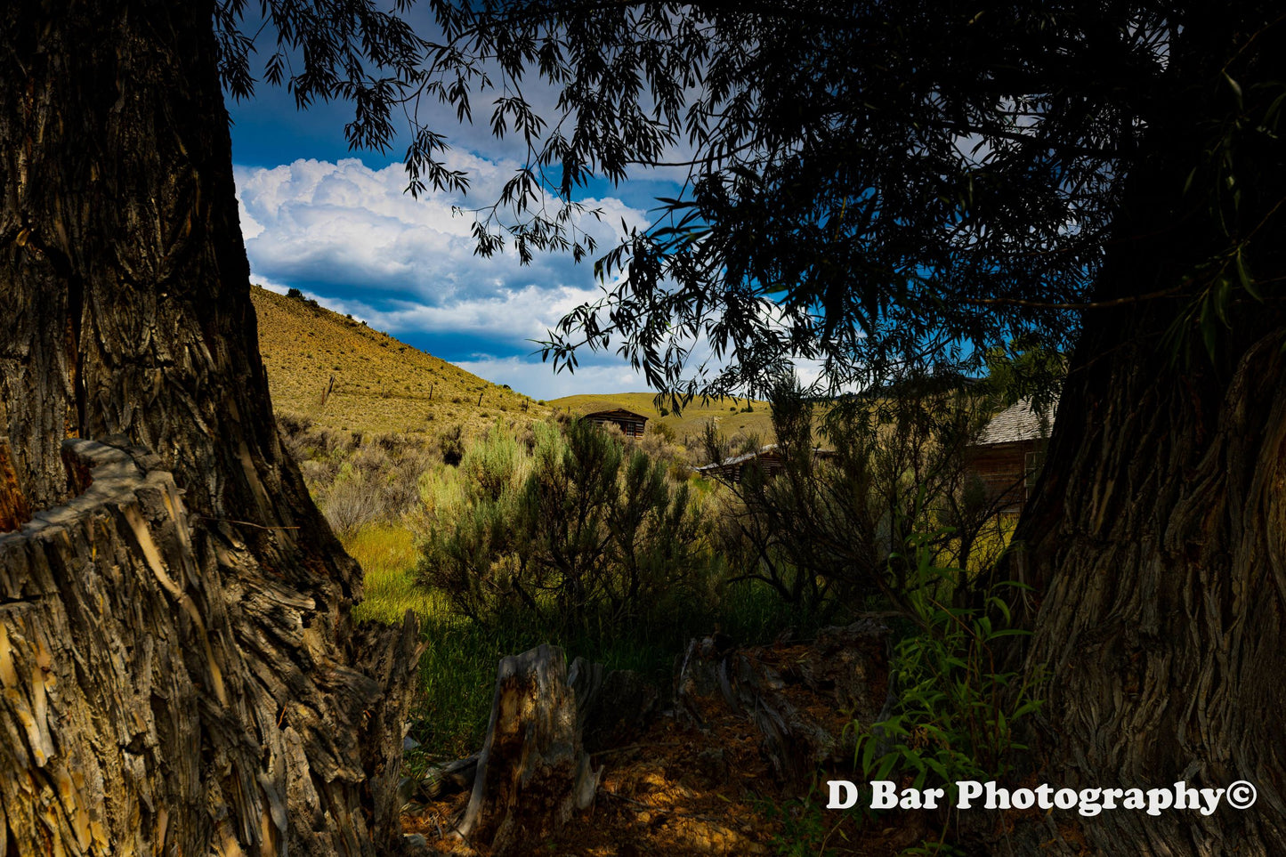 Bannack