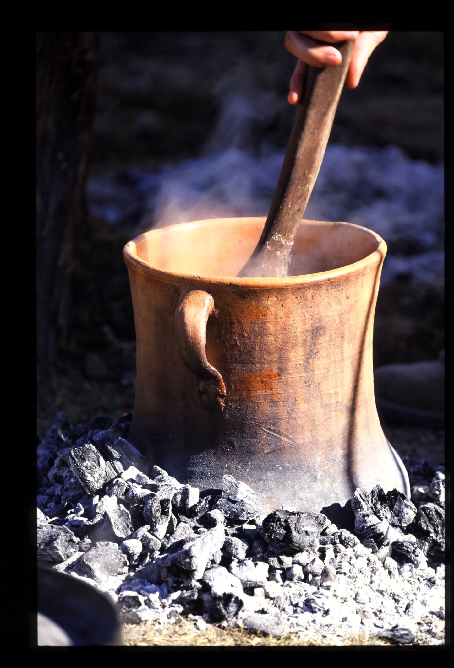 Clay Pot