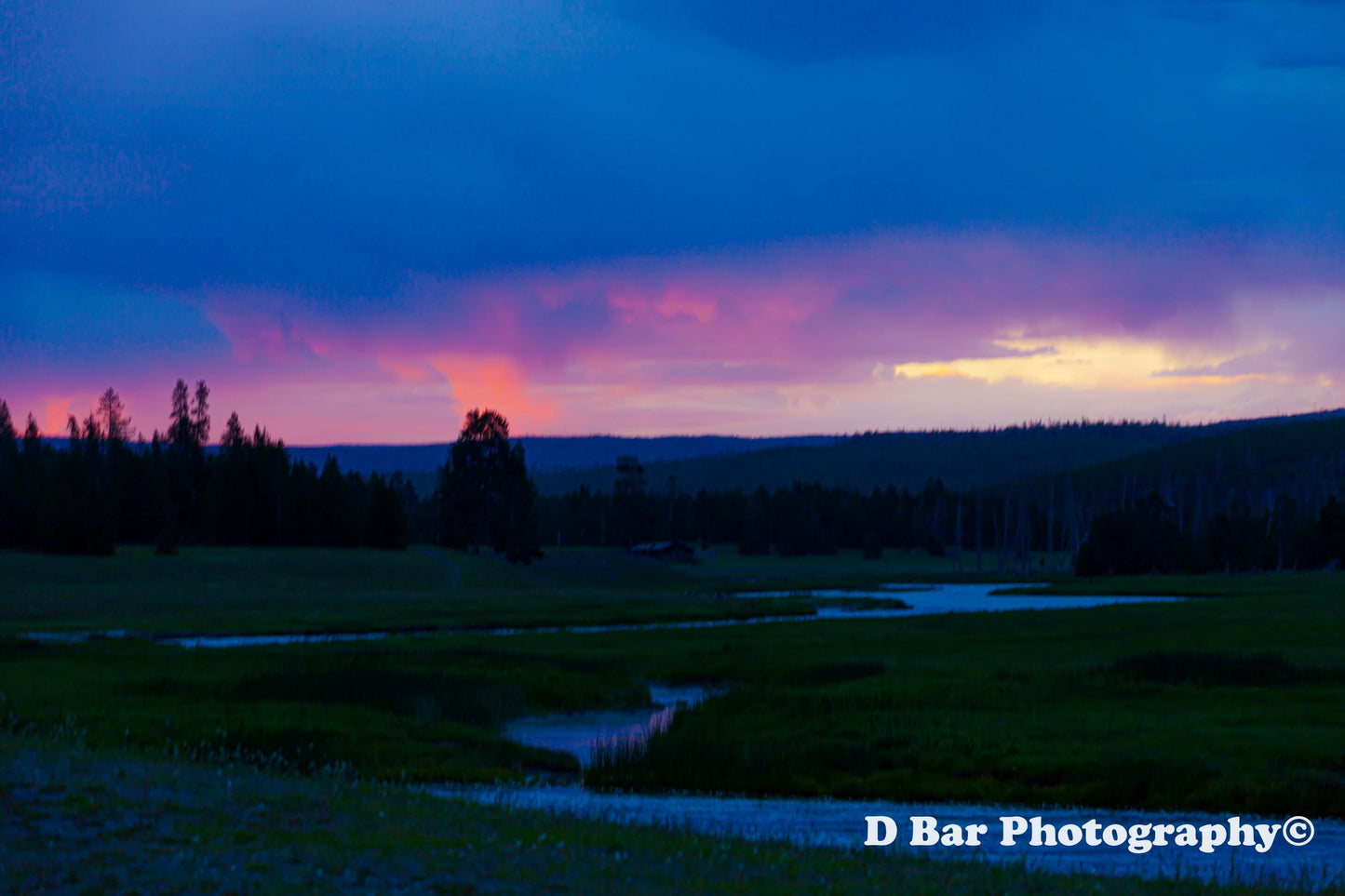 Yellowstone Morning