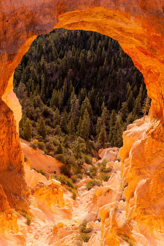 Bryce Canyon Window